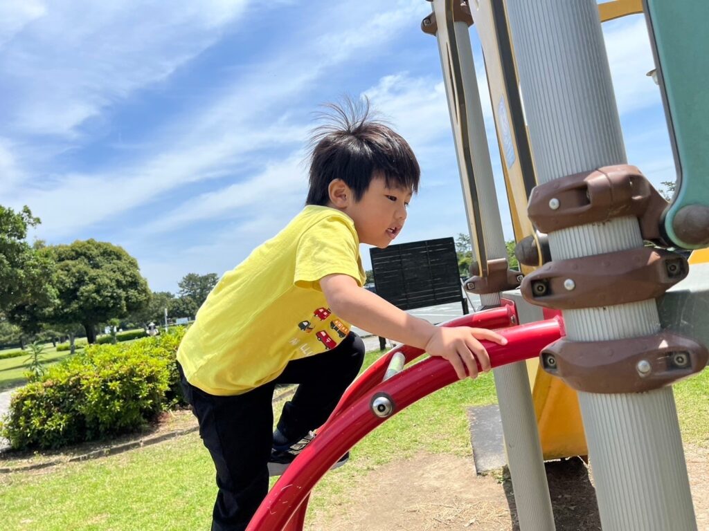 今日の活動5月21日