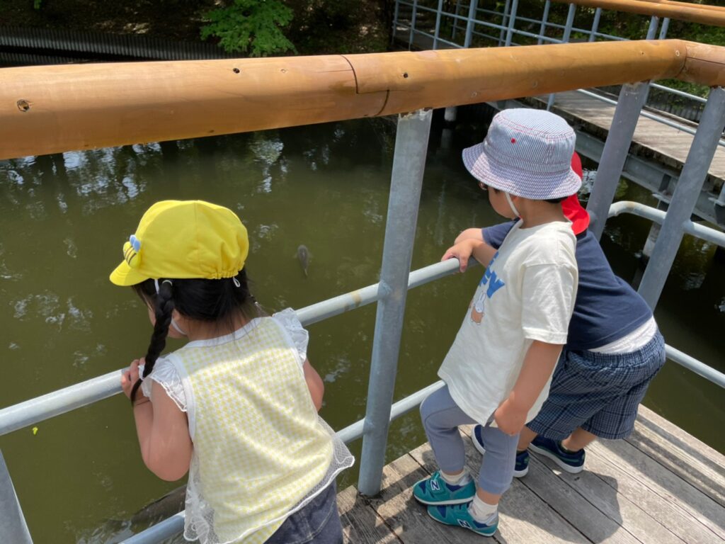 今日の活動5月19日