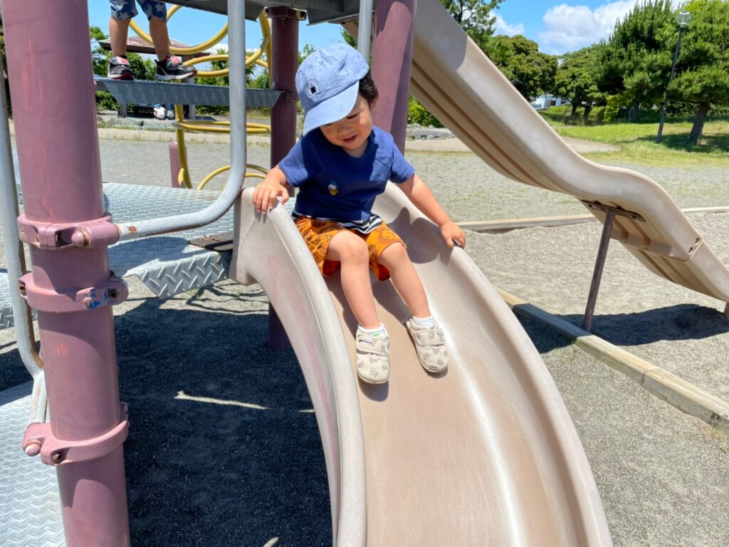 今日の活動6月8日