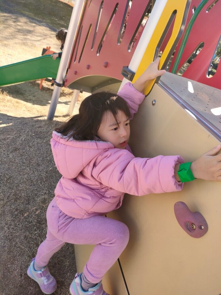 今日の活動12月26日
