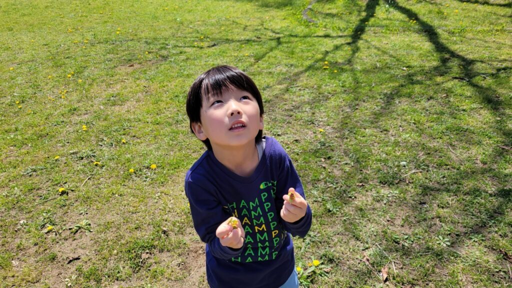 今日の活動3月29日