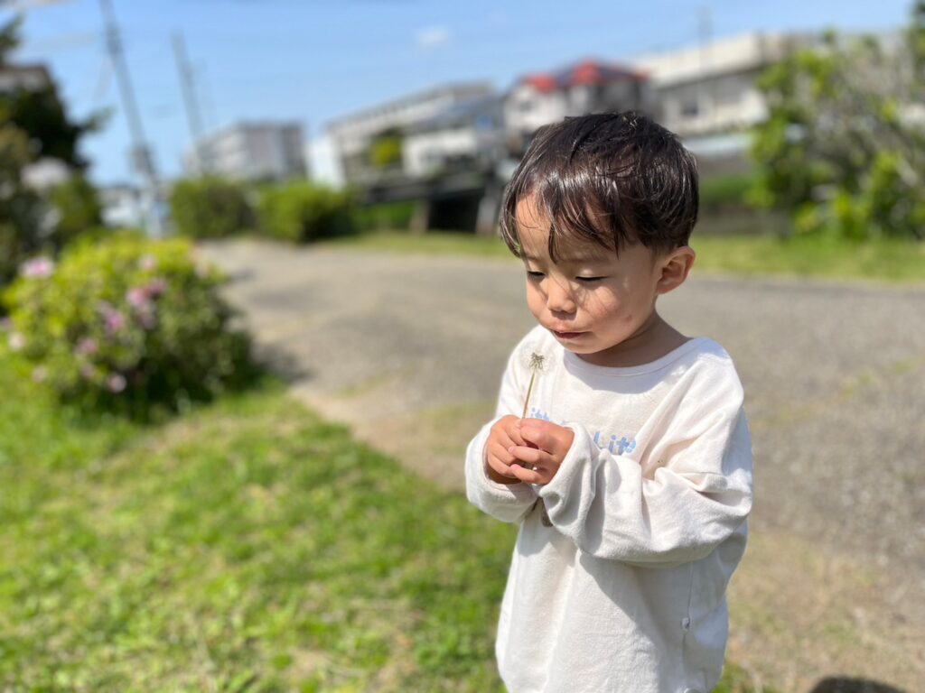 今日の活動4月11日