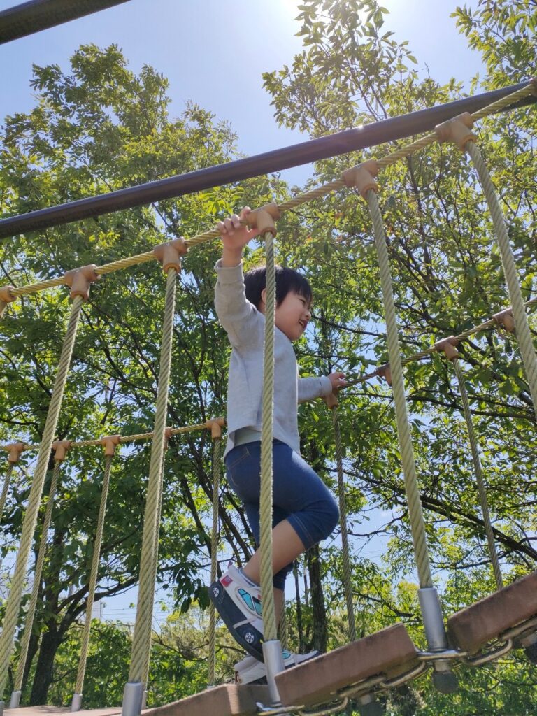 今日の活動5月3日