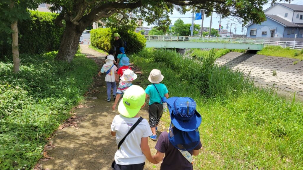 今日の活動6月3日