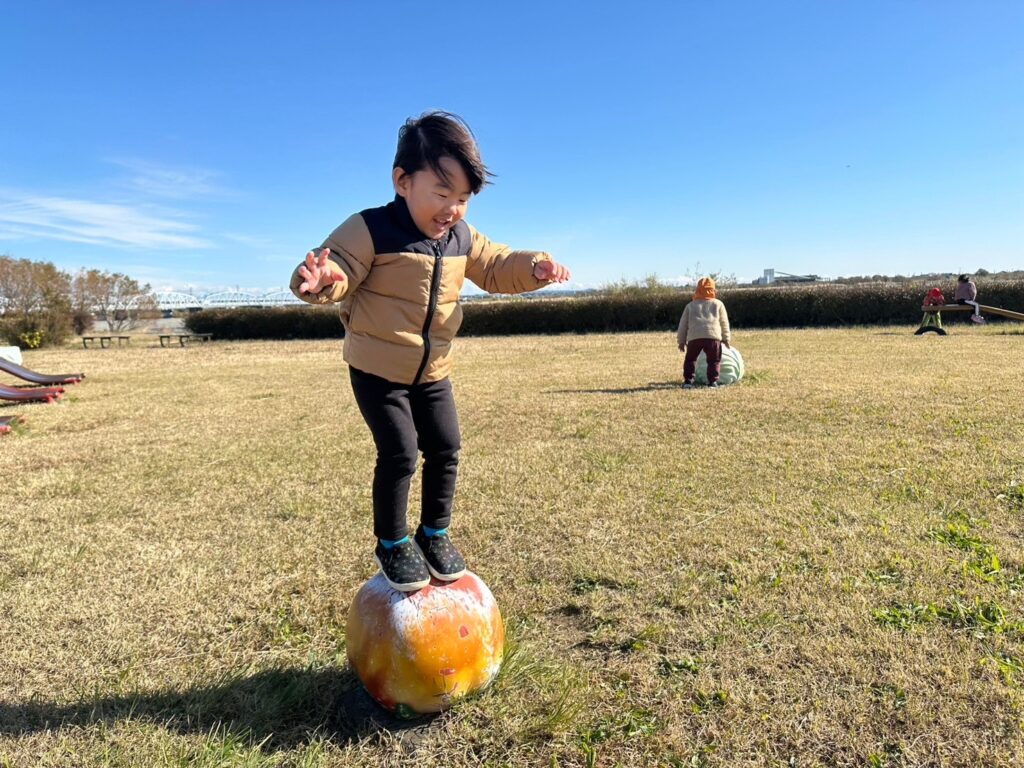 今日の活動12月12日