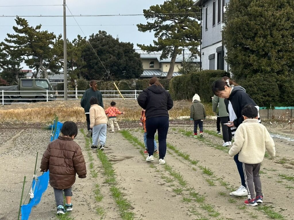今日の活動2月17日