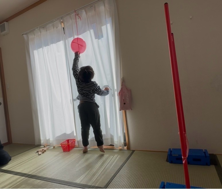 今日の活動2月5日