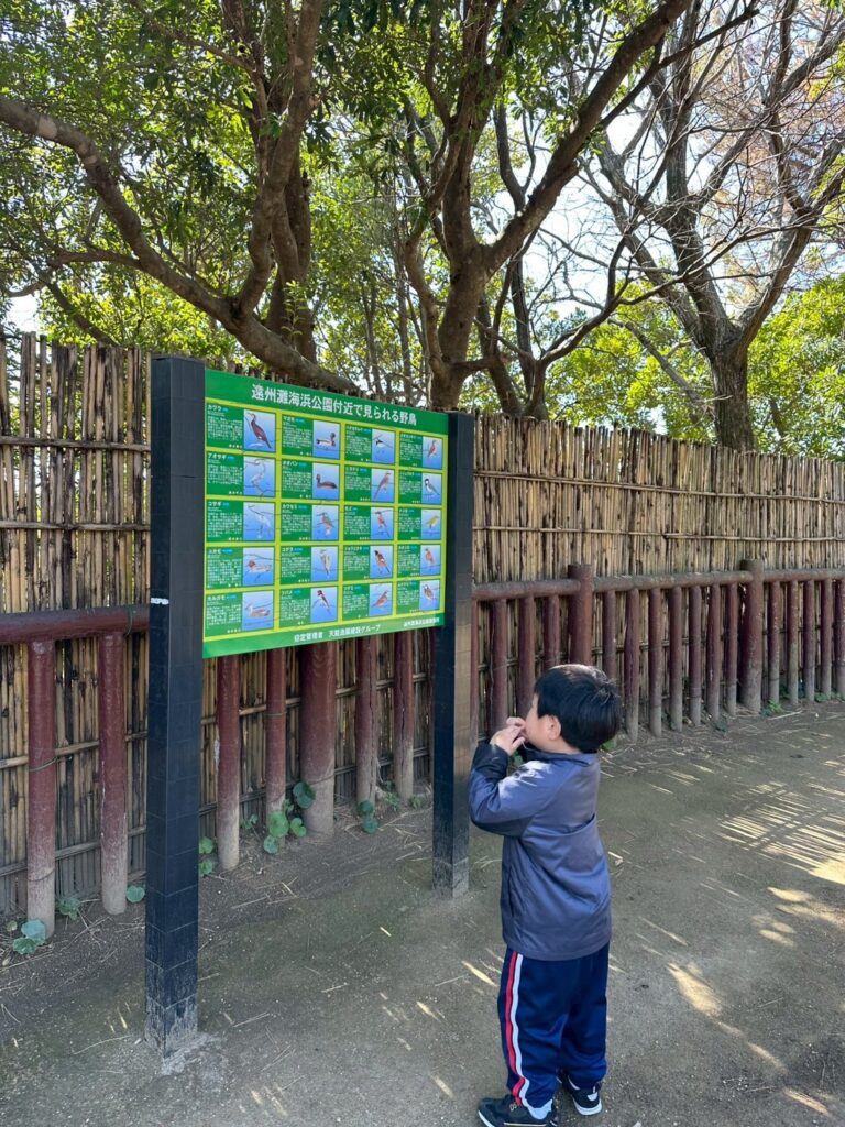 今日の活動3月7日