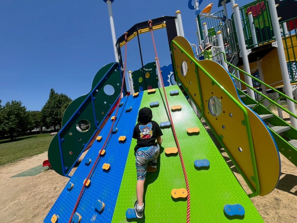 今日の活動6月5日